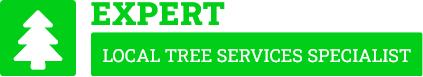 East Auckland Tree Removal - Tree Removal East Auckland